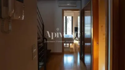 Chalet in Figueres photo 46