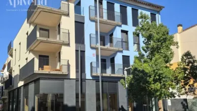 Penthouse in Els Grecs-Mas Oliva photo 22