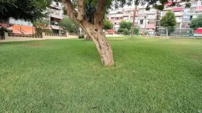 Piso – Benidorm - Vista 2