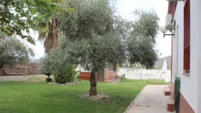 Chalet en Avenida del Convento photo 9