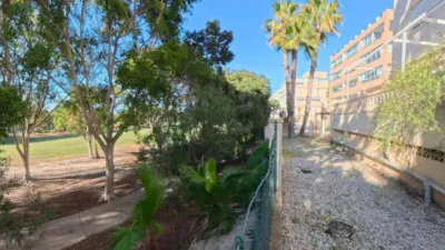 Apartment in Playa de San Juan photo 22