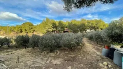 Rustic house in El Esparragal photo 26