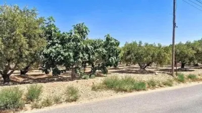 Terreno en venta en Crevillent - Vista 3