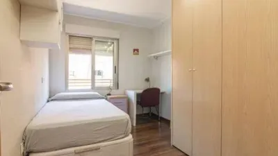 Apartment in Pont Nou photo 22