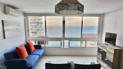 Apartment in L'Albufereta photo 24