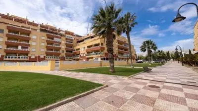 Apartment in Aguadulce Sur photo 48
