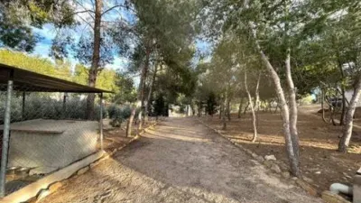Rustic house in El Esparragal photo 19
