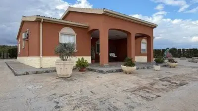 Casa – Elx - Elche - Vista 5