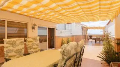 Pis – Elx - Elche - Vista 5