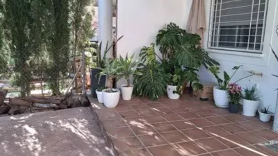 House in Sangonera la Verde photo 7