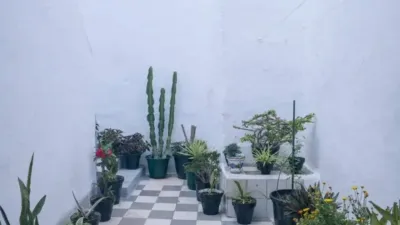 Piso en Vejer de la Frontera photo 31