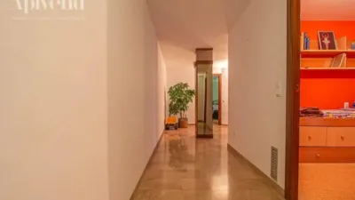 Apartment in Parc Bosc-Castell de Sant Ferran photo 17
