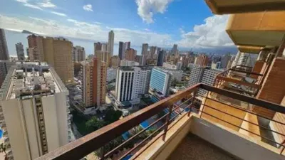Pis – Benidorm - Vista 3