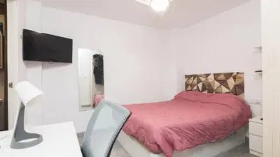 Apartment in Pont Nou photo 11