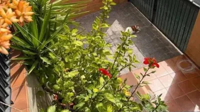 Casa – Orihuela, Raiguero Poniente - Vista 3