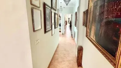 Apartment in Feria photo 19