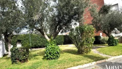Apartment in Els Grecs-Mas Oliva photo 16