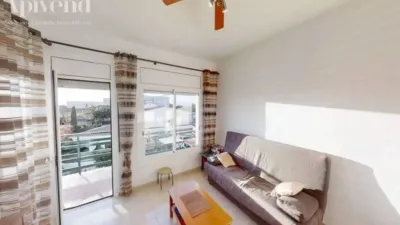 Apartment in Els Grecs-Mas Oliva photo 9