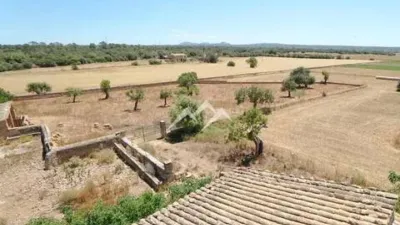 Rustic Finca in Sa Casa Blanca photo 25