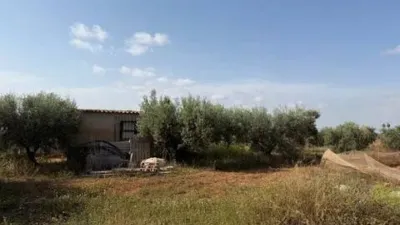 Rustic house on Calle Paraje los Navarros, No Number photo 29