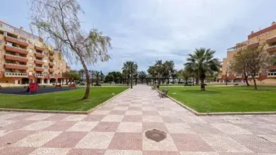 Apartment in Aguadulce Sur photo 47