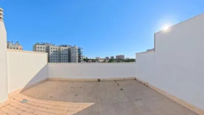 Apartment in El Campello photo 9