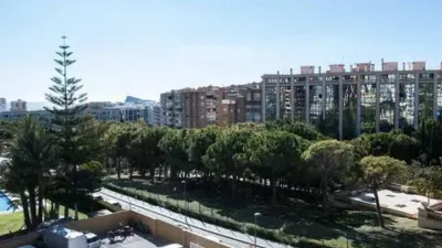 Apartment in Poble de Llevant photo 2