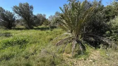 Casa – Elche, l'Altet - Vista 3