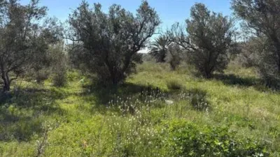 Casa – Elche, l'Altet - Vista 4