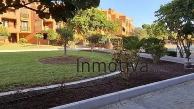 Apartment on Pizarro Street photo 2