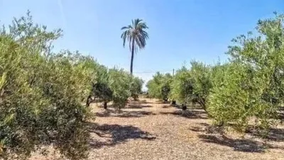 Terreno en venta en Crevillent - Vista 2