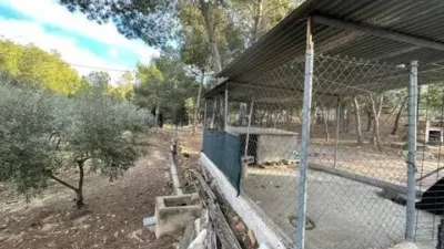 Rustic house in El Esparragal photo 7