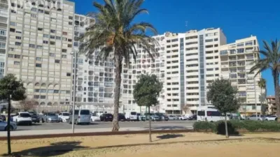 Apartment in Empuriabrava photo 10