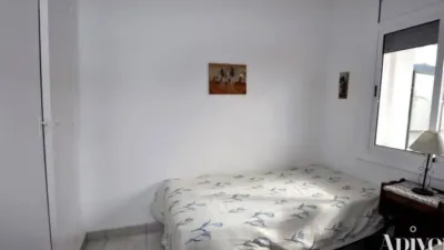 Apartment in Els Grecs-Mas Oliva photo 15