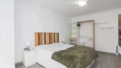 Apartment in Pont Nou photo 9