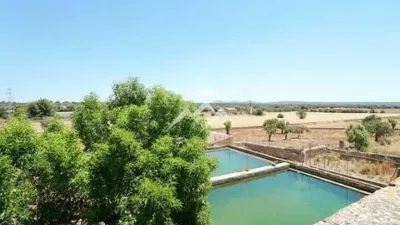 Rustic Finca in Sa Casa Blanca photo 23