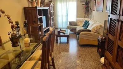 Pis – Elx - Elche - Vista 4