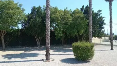 Chalet in Catral photo 40