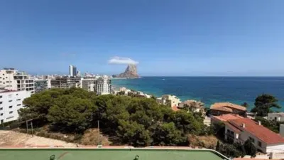 Apartment in Cala Manzanera photo 4