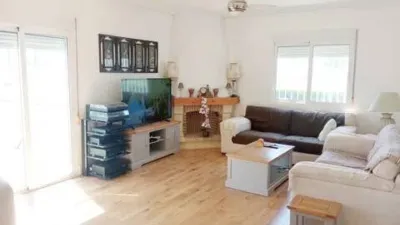 Chalet in Catral photo 9