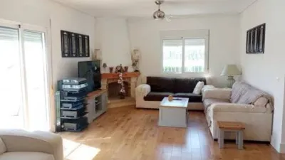 Chalet in Catral photo 11