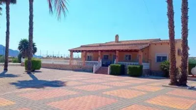 Chalet in Catral photo 43