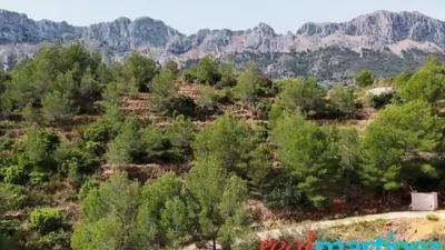 Terreno en venta en Calle Partida Pinos No Number - Vista 5