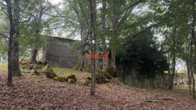 Rustic house in San Cristovo de Cea photo 9
