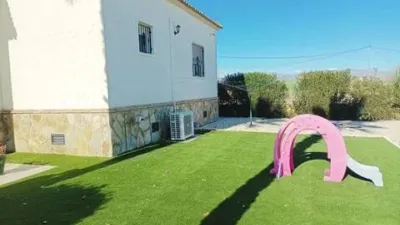 House in Catral - Más