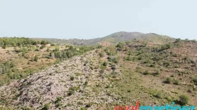 Terreno en venta en Calle Partida Pinos No Number - Vista 4