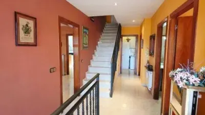Chalet in Vallirana photo 32