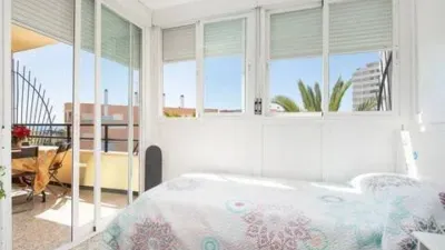 Apartment in Cala Major photo 12
