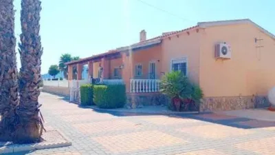 Chalet in Catral photo 19