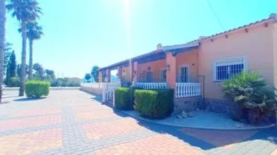 Chalet in Catral photo 18